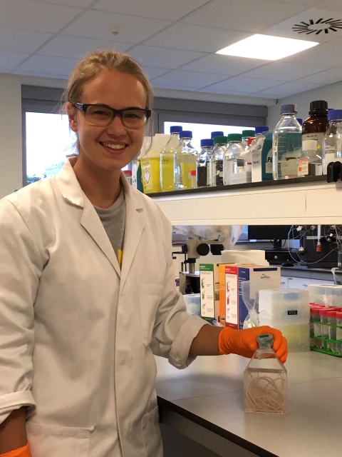 Starworms student wins prize for best Msc thesis.